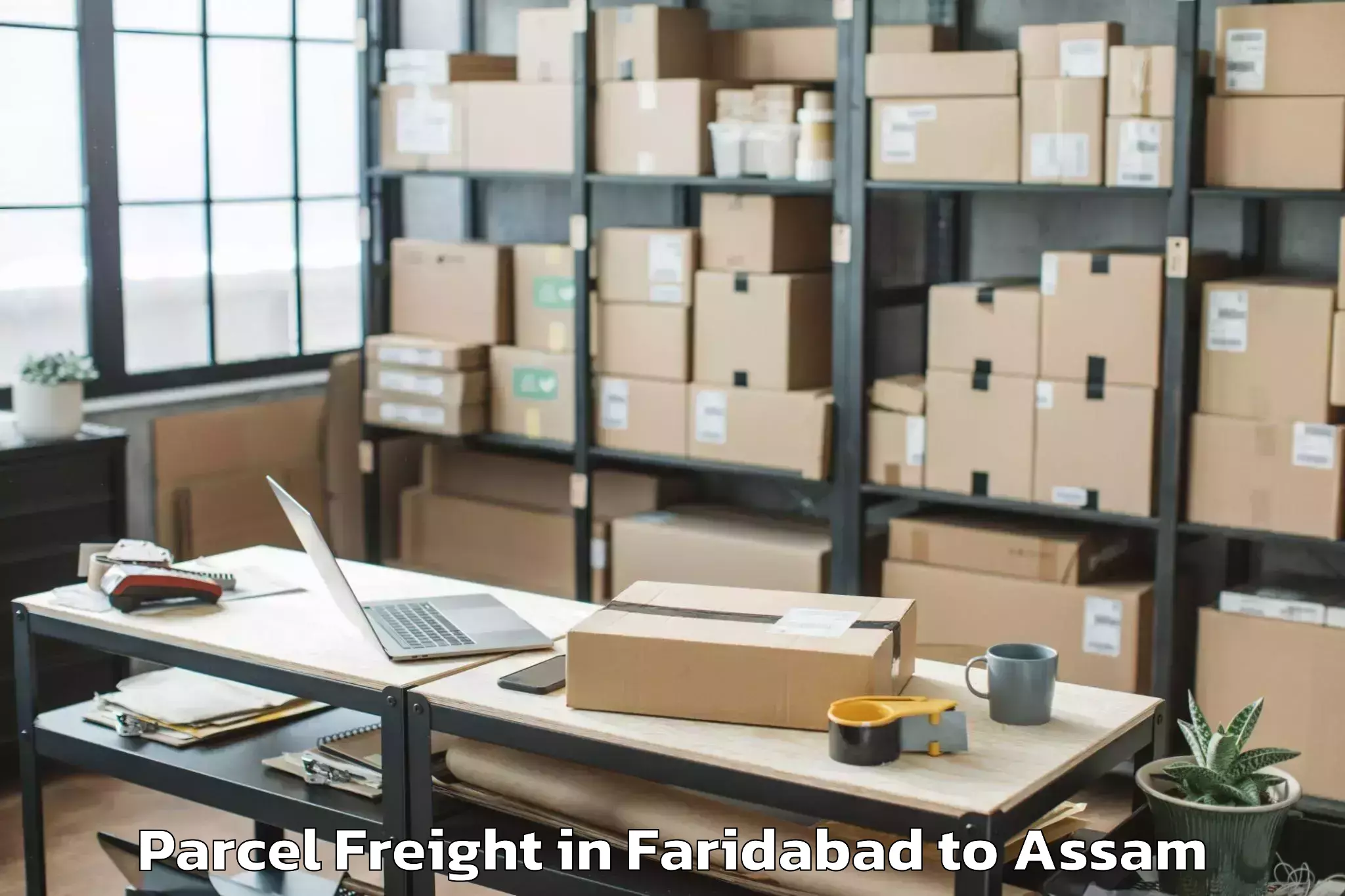 Easy Faridabad to Kalaigaon Parcel Freight Booking